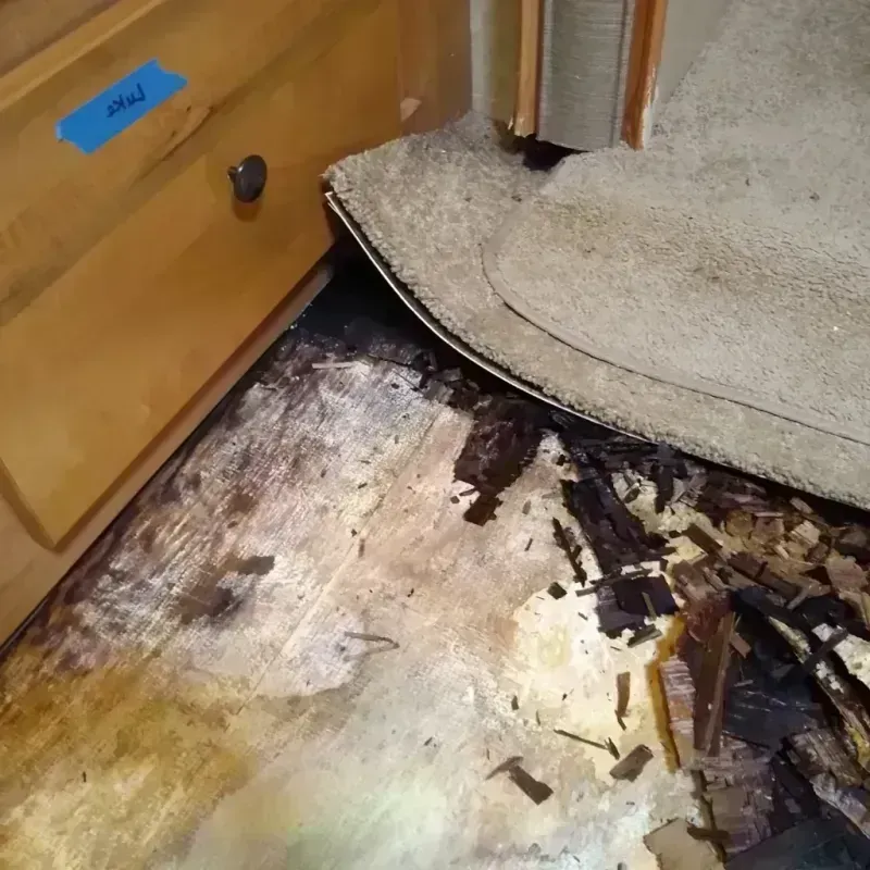 Best Wood Floor Water Damage Service in North Augusta, SC